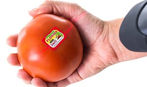 Tomato label with barcode being scanned